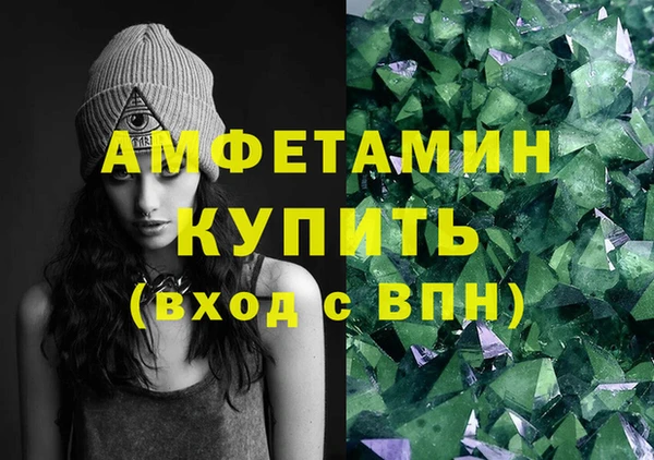 шишки Коряжма