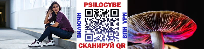 Псилоцибиновые грибы Psilocybe Костерёво